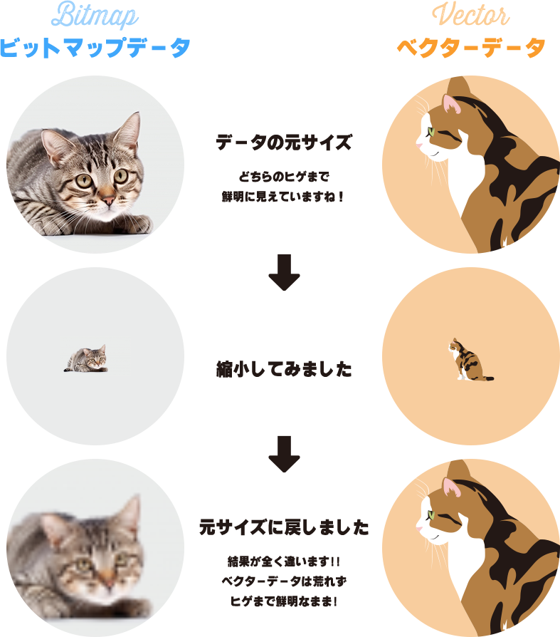 ビットマップデータとベクターデータを縮小した後に再度拡大するとベクターデータは荒れず、ビットマップデータは荒れている説明画像