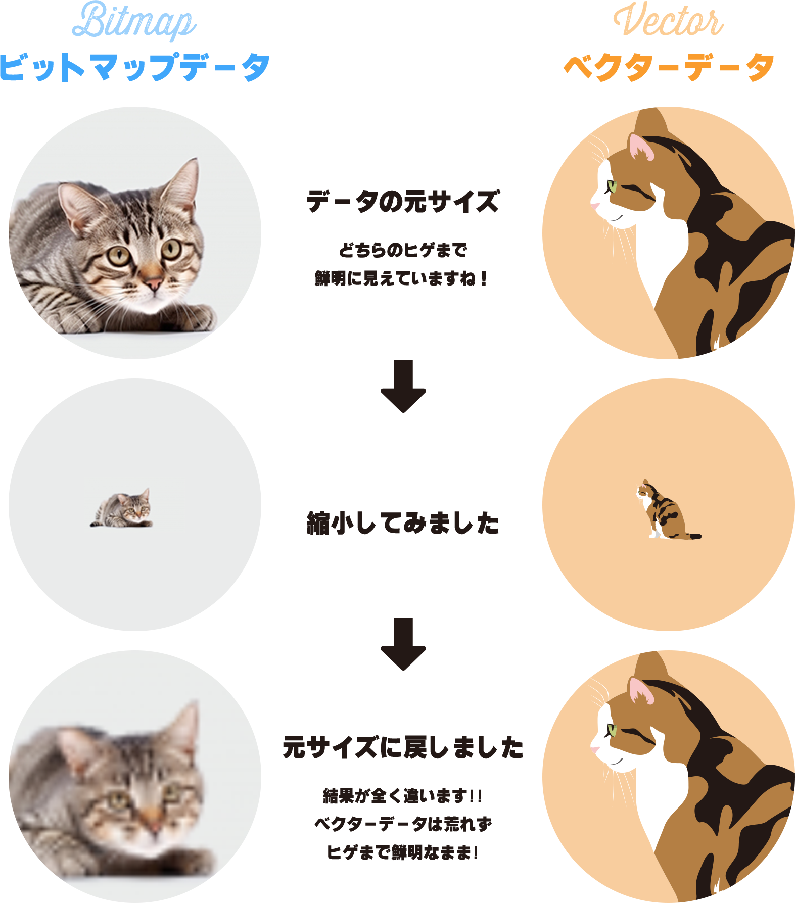 ベクターデータとビットマップデータについて ソクプリブログ