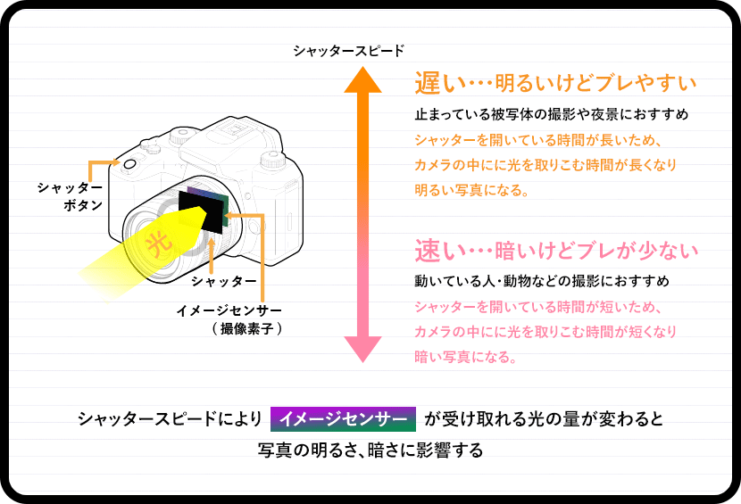 シャッタースピードによりイメージセンサーが受け取れる光の量が変わると写真の明るさ、暗さに影響する
