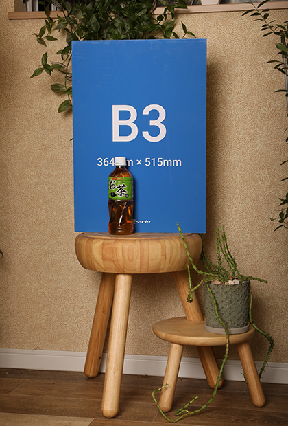 500㎖のペットボトルとB3サイズの発泡パネルのサイズを比べている様子